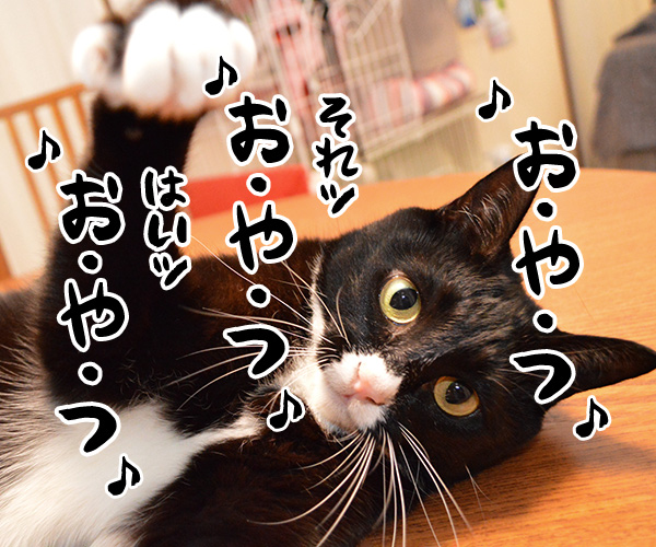 ♪お・や・つ♪　猫の写真で４コマ漫画　２コマ目ッ