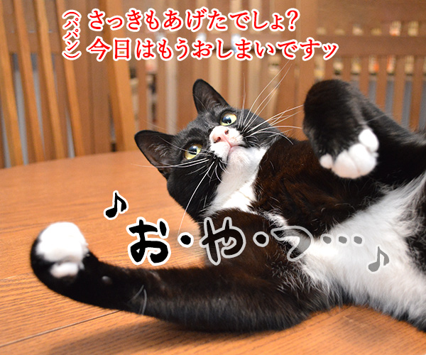 ♪お・や・つ♪　猫の写真で４コマ漫画　３コマ目ッ