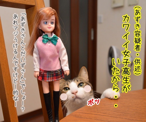 冤罪を許さないッ　～人情派弁護士パパン～　猫の写真で４コマ漫画　２コマ目ッ