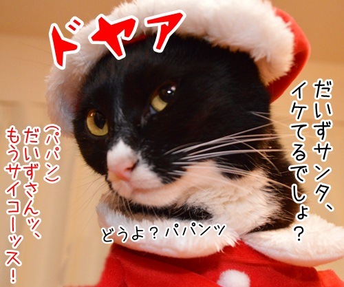 「パパンのきもち」１２月号はクリスマス特大号！！　猫の写真で４コマ漫画　３コマ目ッ