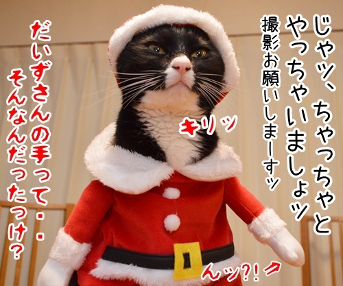 「パパンのきもち」１２月号はクリスマス特大号！！　猫の写真で４コマ漫画　４コマ目ッ