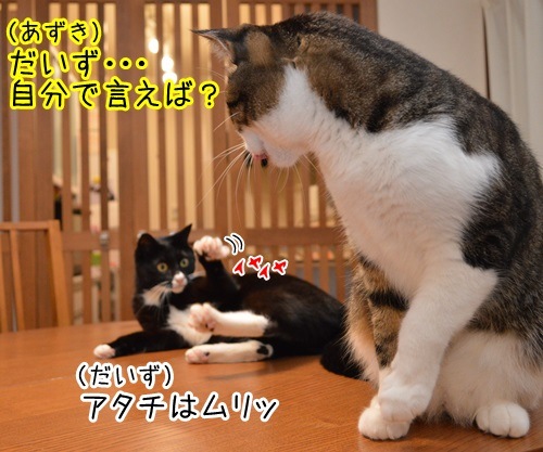 あのＣＭ（ラ王 食べたい男篇 ２）　猫の写真で４コマ漫画　３コマ目ッ