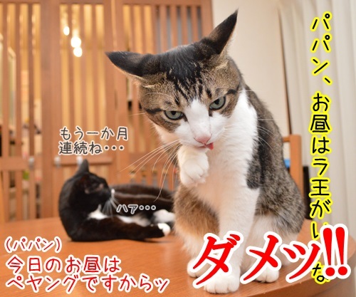 あのＣＭ（ラ王 食べたい男篇 ２）　猫の写真で４コマ漫画　４コマ目ッ