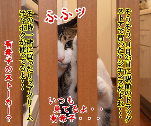 有希子とだいずと○○○　猫の写真で４コマ漫画　４コマ目ッ