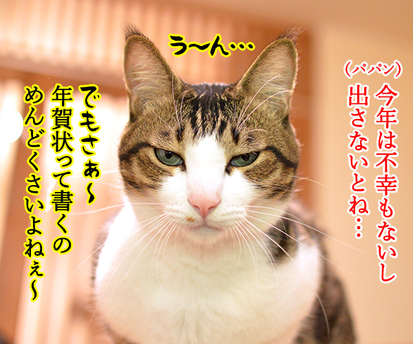 今年の年賀状 どうする？　猫の写真で４コマ漫画　３コマ目ッ