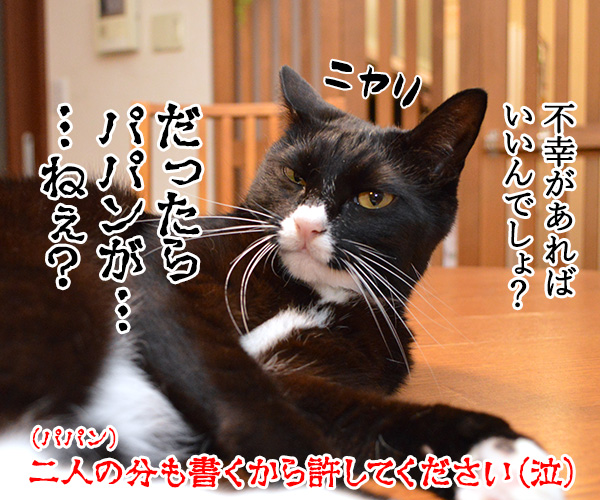 今年の年賀状 どうする？　猫の写真で４コマ漫画　４コマ目ッ