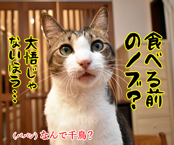 忘年会シーズンの強い味方　猫の写真で４コマ漫画　２コマ目ッ