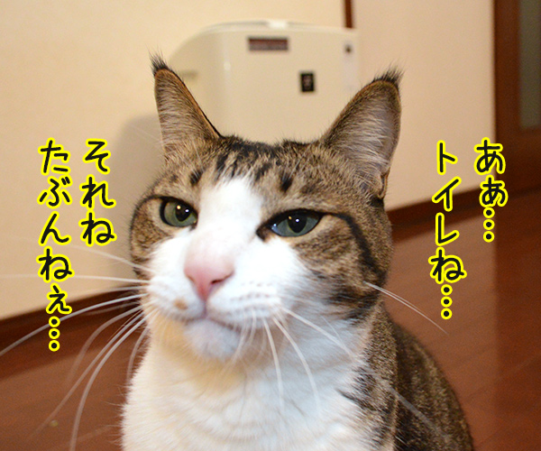 ようかい体操第一　猫の写真で４コマ漫画　２コマ目ッ