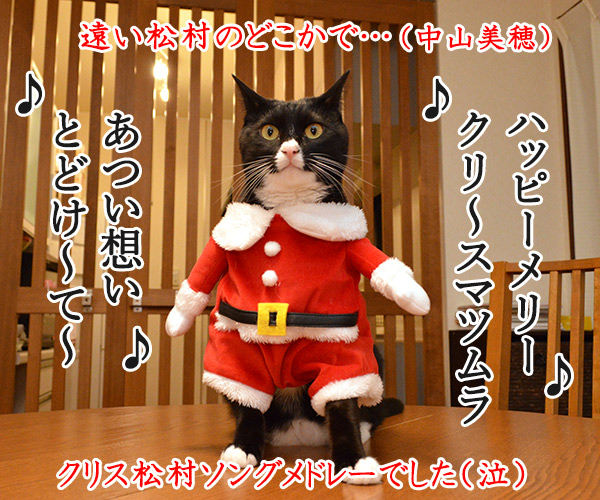 イブだからクリスマスソングメドレー　猫の写真で４コマ漫画　４コマ目ッ