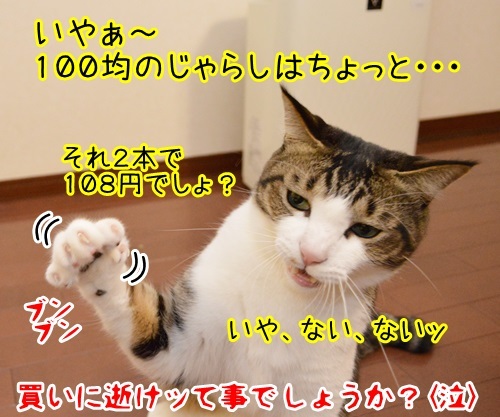 謙虚に頼まれれば　猫の写真で４コマ漫画　４コマ目ッ