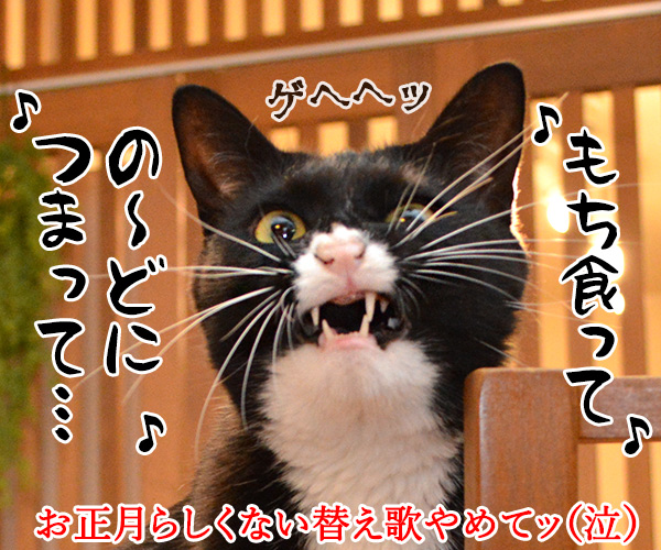 お正月にするコト　猫の写真で４コマ漫画　４コマ目ッ