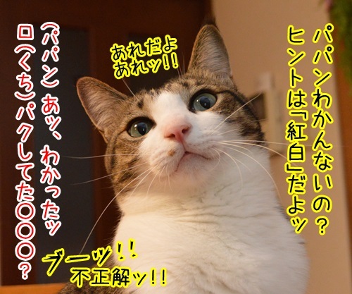 モノマネ当てクイズ　猫の写真で４コマ漫画　３コマ目ッ