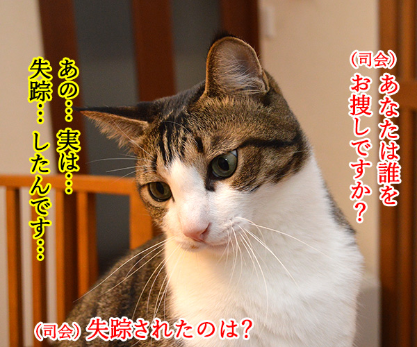 テレビ公開捜査　猫の写真で４コマ漫画　３コマ目ッ