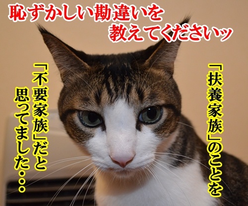 恥ずかしい勘違い　猫の写真で４コマ漫画　１コマ目ッ