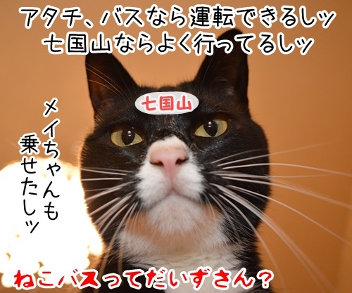 タクシー運転手のハナシ　猫の写真で４コマ漫画　４コマ目ッ