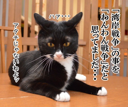 恥ずかしい勘違い　其の二　猫の写真で４コマ漫画　２コマ目ッ