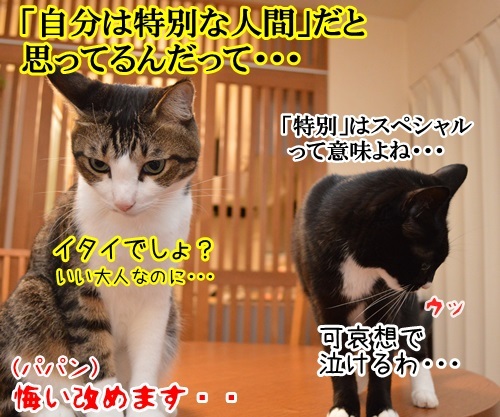 恥ずかしい勘違い　其の二　猫の写真で４コマ漫画　４コマ目ッ