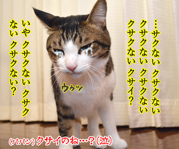 ボクのおててはクサクない　其の二　猫の写真で４コマ漫画　４コマ目ッ