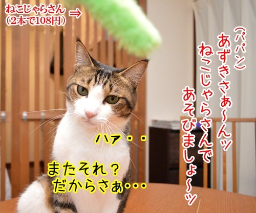 ねこじゃらさんは２本で１０８円　猫の写真で４コマ漫画　１コマ目ッ