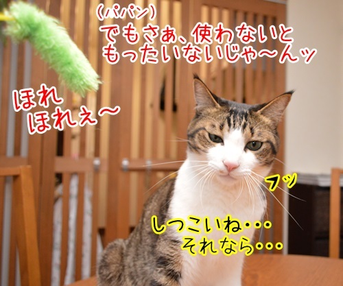 ねこじゃらさんは２本で１０８円　猫の写真で４コマ漫画　３コマ目ッ