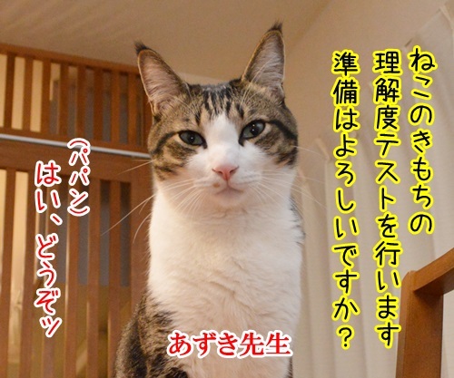 教えてッ　あずき先生　其の二　猫の写真で４コマ漫画　１コマ目ッ