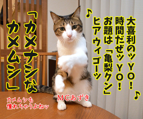 ＭＣあずきのヒップホップ大喜利　猫の写真で４コマ漫画　１コマ目ッ