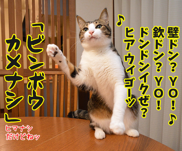 ＭＣあずきのヒップホップ大喜利　猫の写真で４コマ漫画　２コマ目ッ