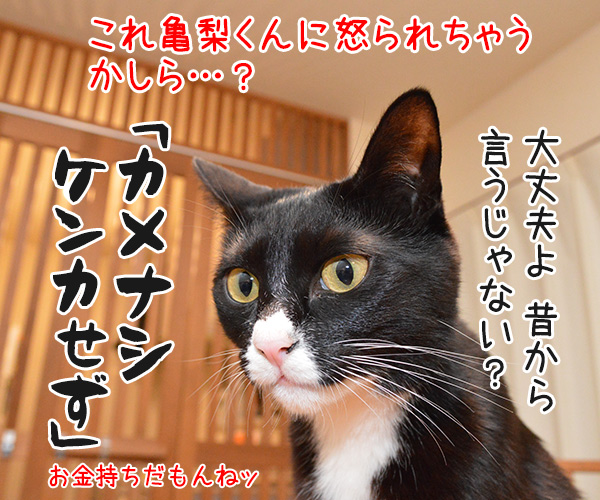 ＭＣあずきのヒップホップ大喜利　猫の写真で４コマ漫画　４コマ目ッ