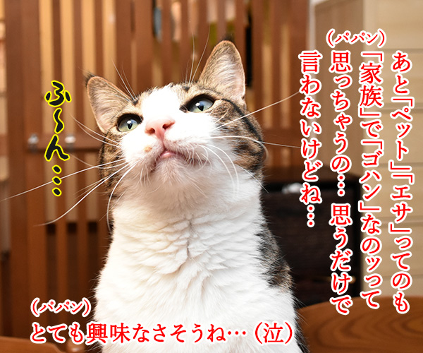 あずきさんとだいずさんは家族だから　猫の写真で４コマ漫画　２コマ目ッ