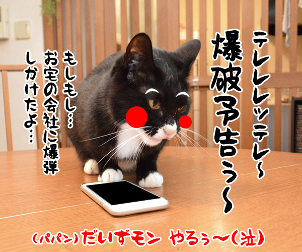 助けて！！だいずモン　其の二　猫の写真で４コマ漫画　４コマ目ッ