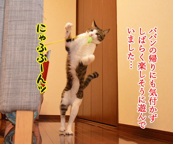 じゃらしのはなし　猫の写真で４コマ漫画　２コマ目ッ