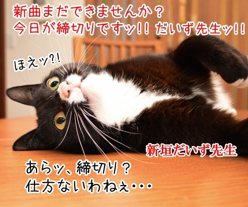 今日が締切りッ　だいず先生ッ　猫の写真で４コマ漫画　１コマ目ッ