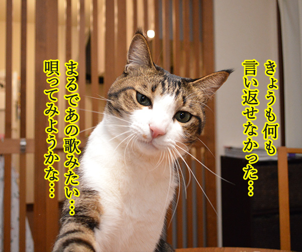 ポイズン　猫の写真で４コマ漫画　２コマ目ッ