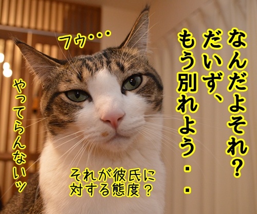 わかればなし　猫の写真で４コマ漫画　１コマ目ッ