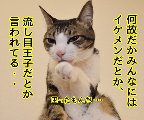 僕はあずき（医薬部外品）　猫の写真で４コマ漫画　２コマ目ッ