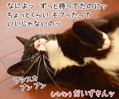 遅いじゃないのッ　猫の写真で４コマ漫画　３コマ目ッ