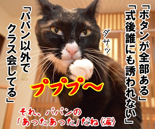 卒業式あるある　猫の写真で４コマ漫画　４コマ目ッ