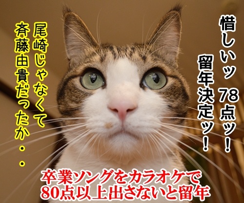 卒業式あるある　猫の写真で４コマ漫画　２コマ目ッ