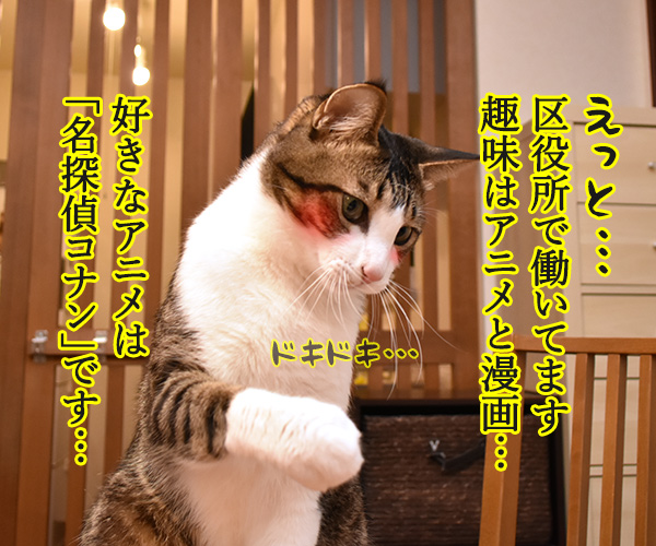 お仕事は？～お見合いパーティにて～　猫の写真で４コマ漫画　２コマ目ッ