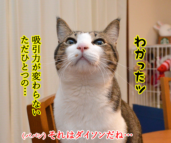 13日の金曜日といえば　猫の写真で４コマ漫画　２コマ目ッ