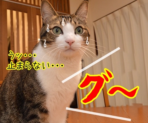 新入社員　あずき　其の二　猫の写真で４コマ漫画　２コマ目ッ