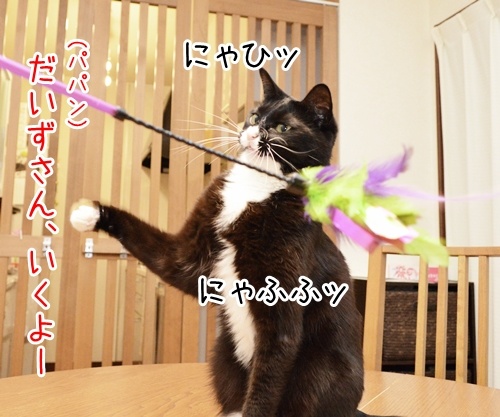 だいずさんとパパンは…　猫の写真で４コマ漫画　１コマ目ッ