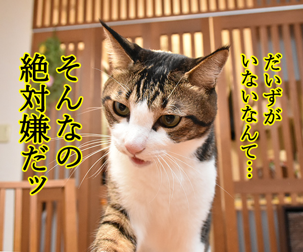 クイズですッ！！　猫の写真で４コマ漫画　３コマ目ッ