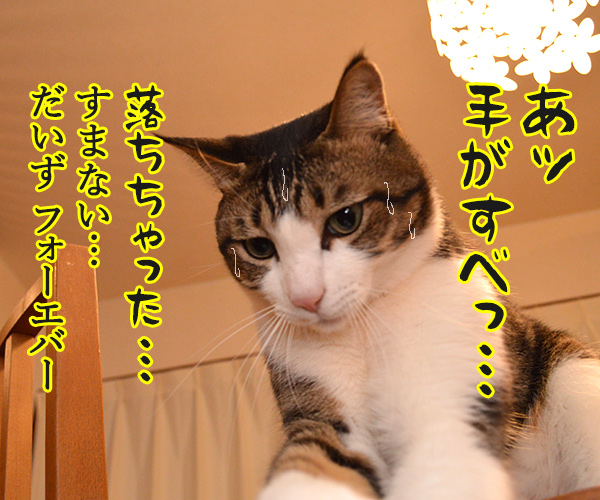 絶対にこの手を離さないでッ　猫の写真で４コマ漫画　２コマ目ッ