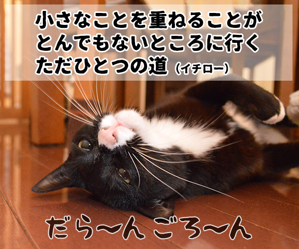 やる気の出る言葉　猫の写真で４コマ漫画　２コマ目ッ