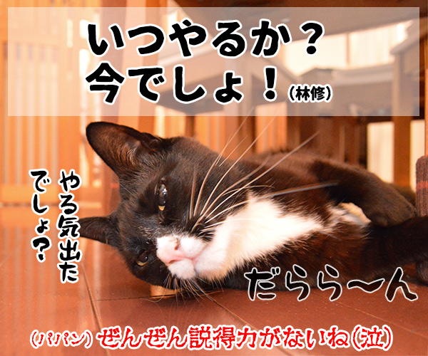 やる気の出る言葉　猫の写真で４コマ漫画　４コマ目ッ