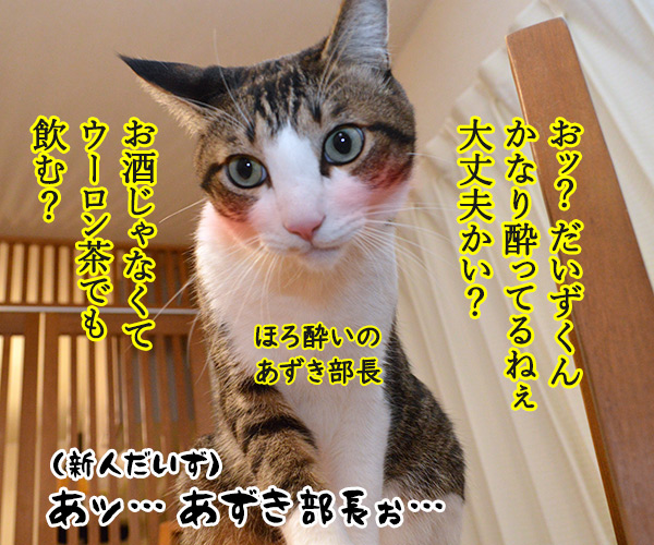 新入社員の歓迎会あるある　猫の写真で４コマ漫画　３コマ目ッ