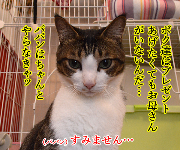 母の日のプレゼント　猫の写真で４コマ漫画　２コマ目ッ