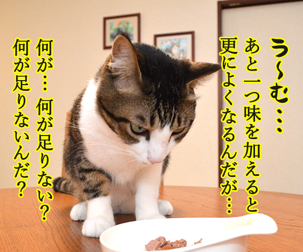 先生、お味はいかがでしょうか？　猫の写真で４コマ漫画　３コマ目ッ