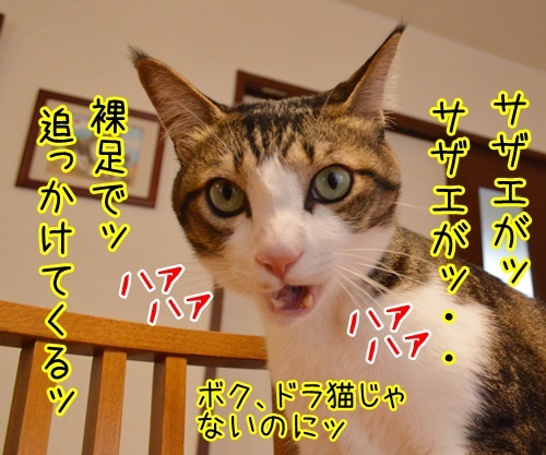 ルールルルルッルー　今日もいい天気～　猫の写真で４コマ漫画　２コマ目ッ